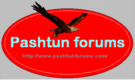 logo3.gif